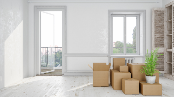 untitled design 2025 11 25t161712.120